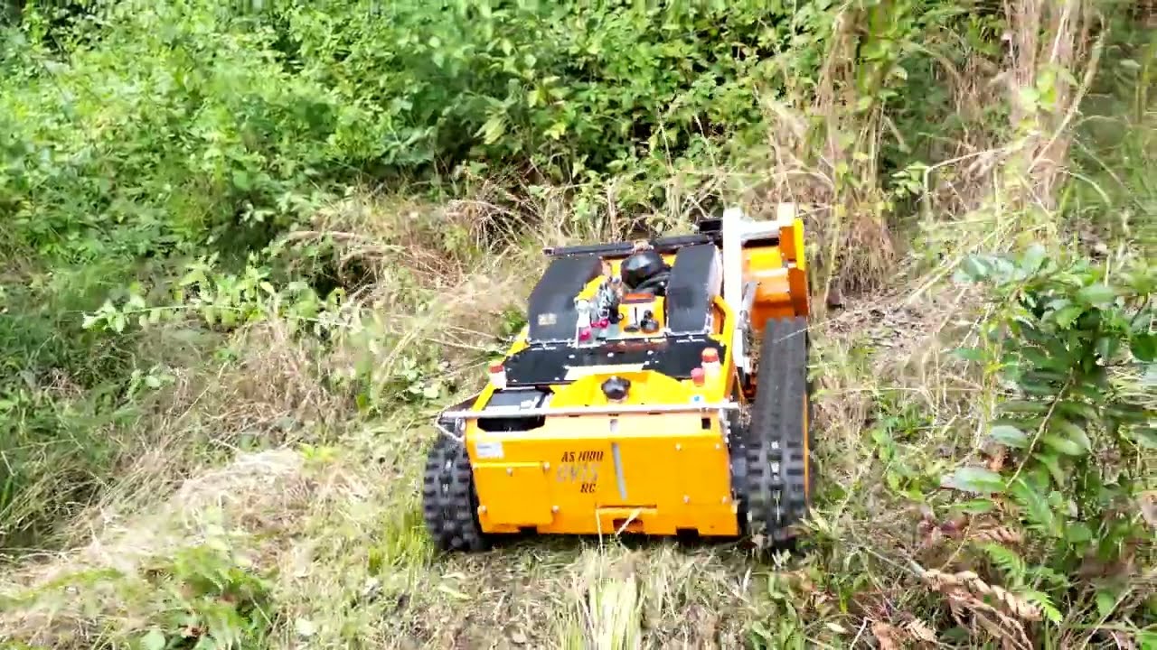 ASMOTOR OVIS 1000 IN ACTION