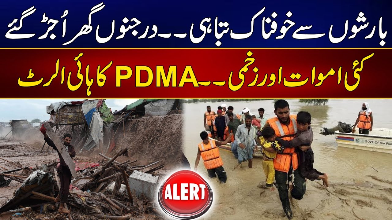 Heavy Rains Cause Destruction & Casualties In KP | PDMA Issued High Alert | 24 News HD