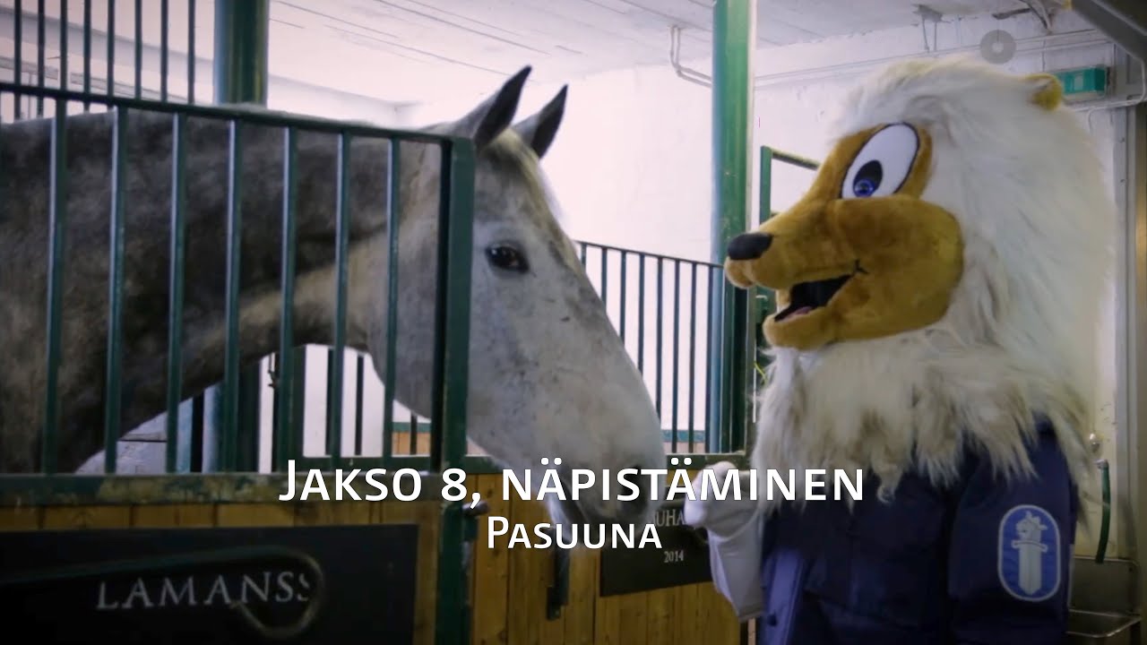 Poliisisoittokunnan lastenvideosarja jakso 8, näpistäminen