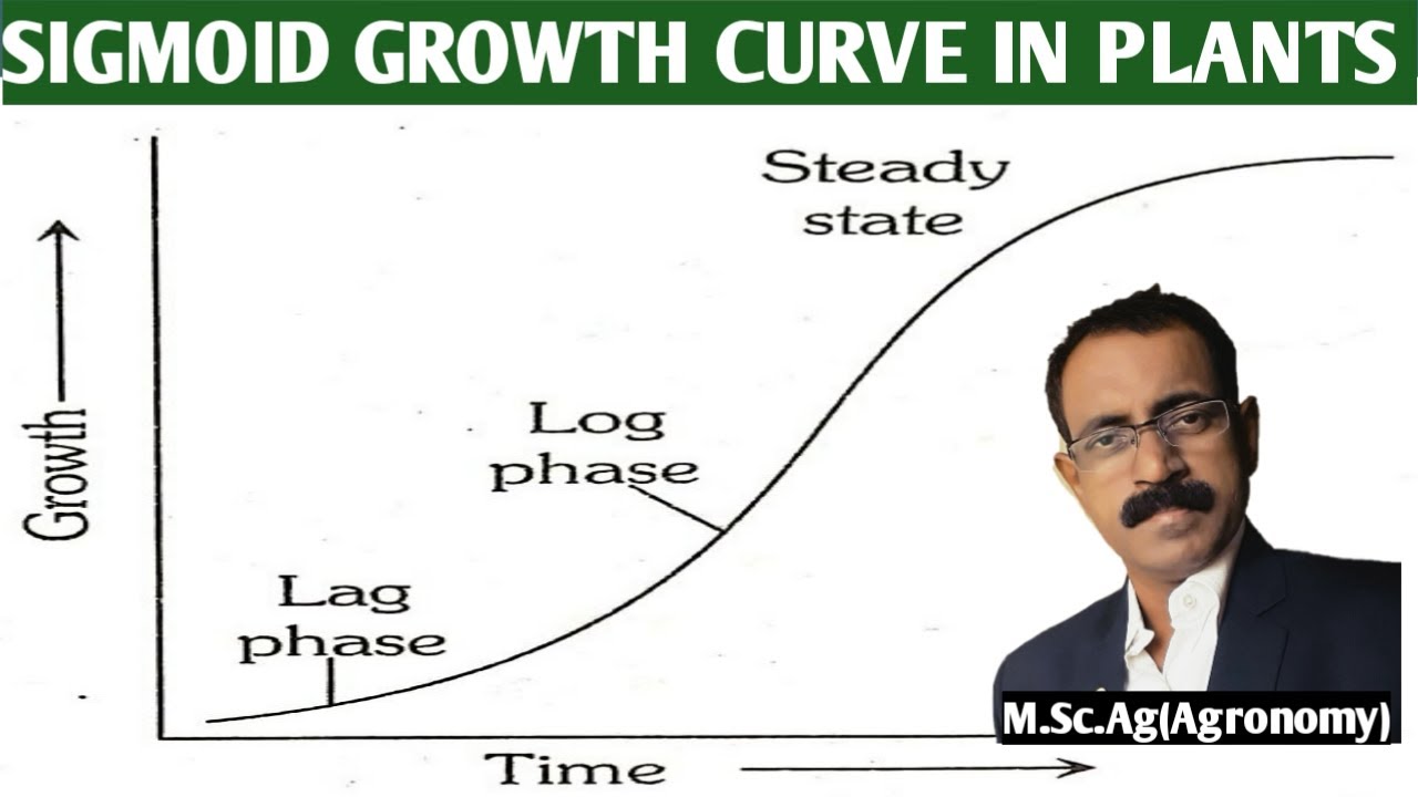 SIGMOID GROWTH CURVE IN PLANTS