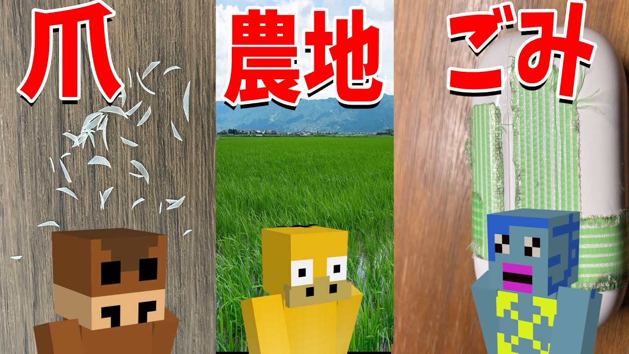 参加勢オークション企画 爪 農地 ただのゴミを出品 落札するバカが出始める - マインクラフト【KUN】