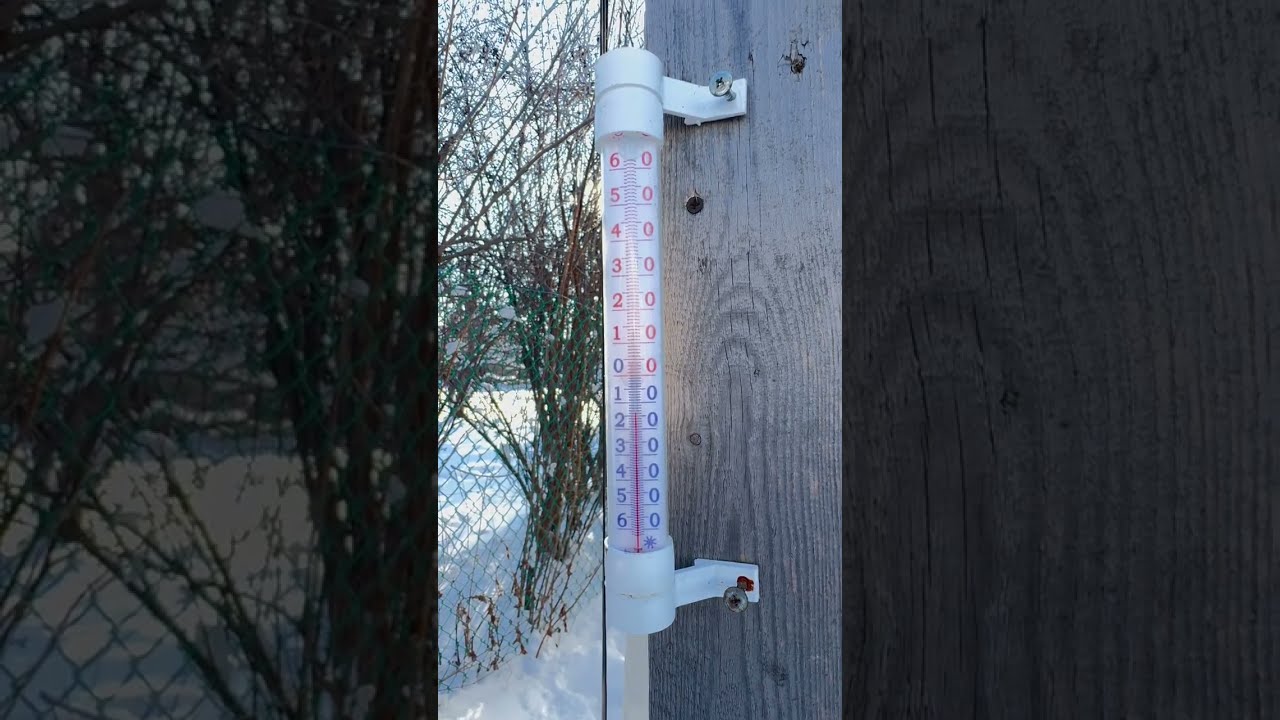 5 февраля 2026 г.