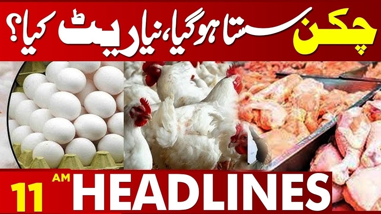 Good News for Consumers! Chicken Prices Fall Again | 11 AM Headlines | Lahore News HD