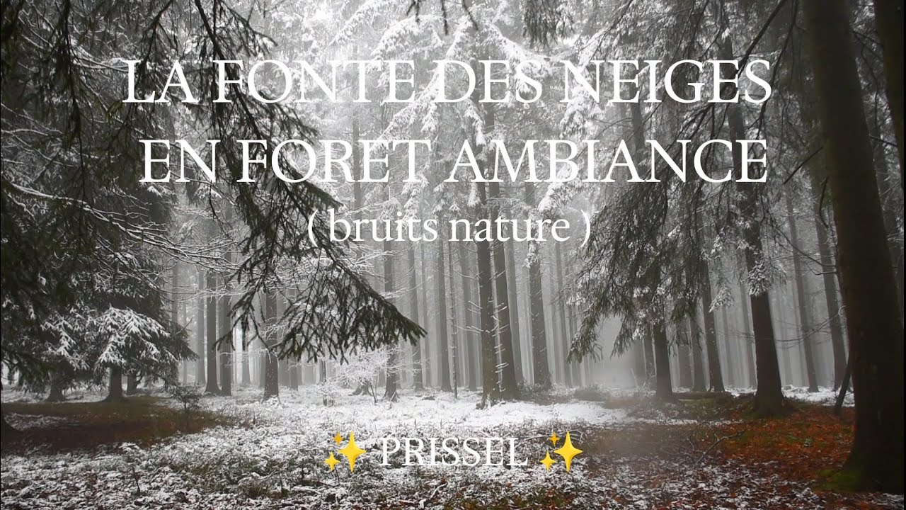 ✨ Fonte des neiges en forêt 🌲HD Sons naturels relaxants ambiance apaisante relaxation asmr FRANCE✨