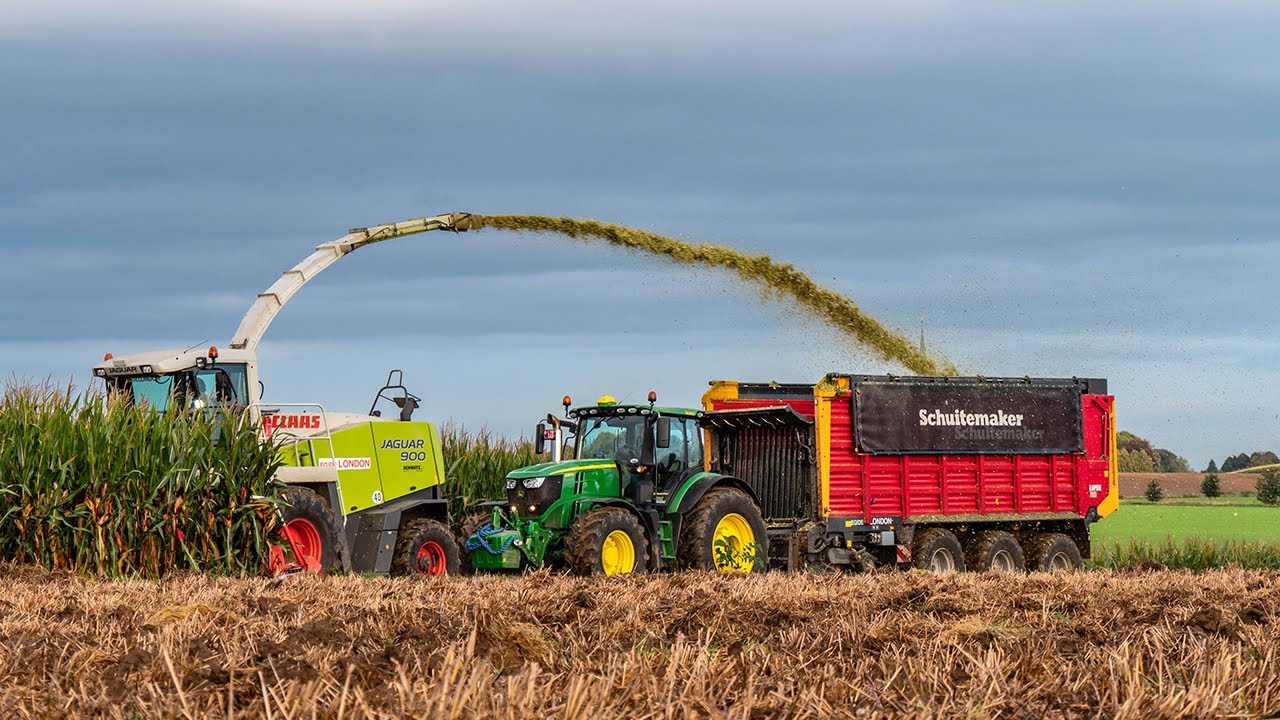 Mais Silage / Claas Jaguar 900 / Egide London / John Deere