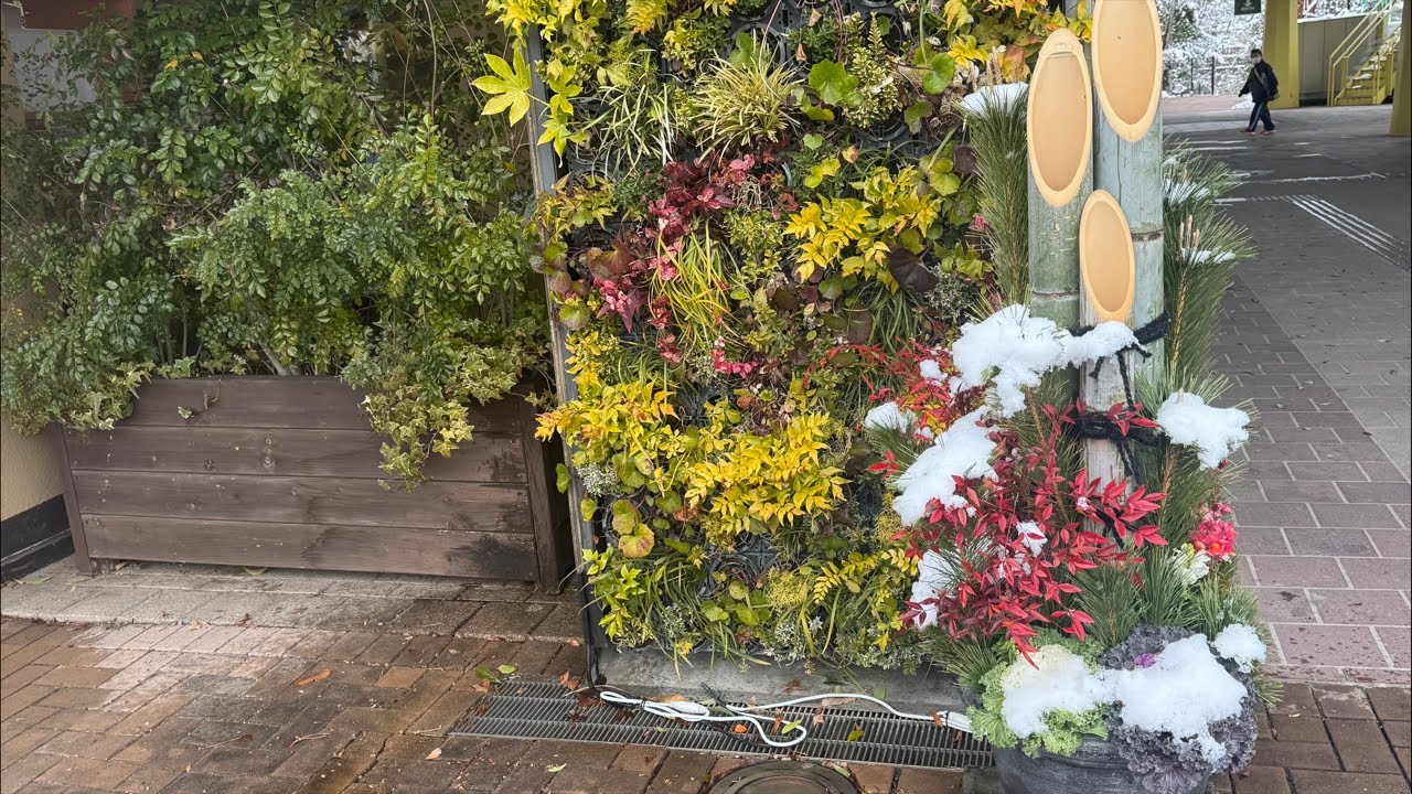 門松撤収します