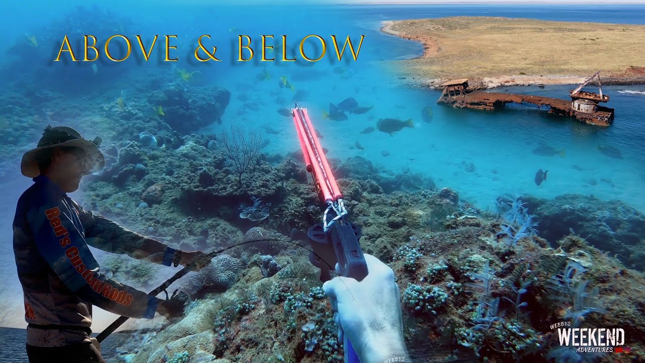 CRAZY SURFACE ACTION and spearfishing!! another fun weekend adventure