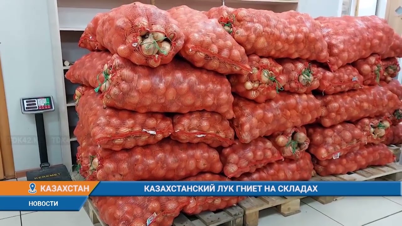 КАЗАХСТАНСКИЙ ЛУК ГНИЕТ НА СКЛАДАХ