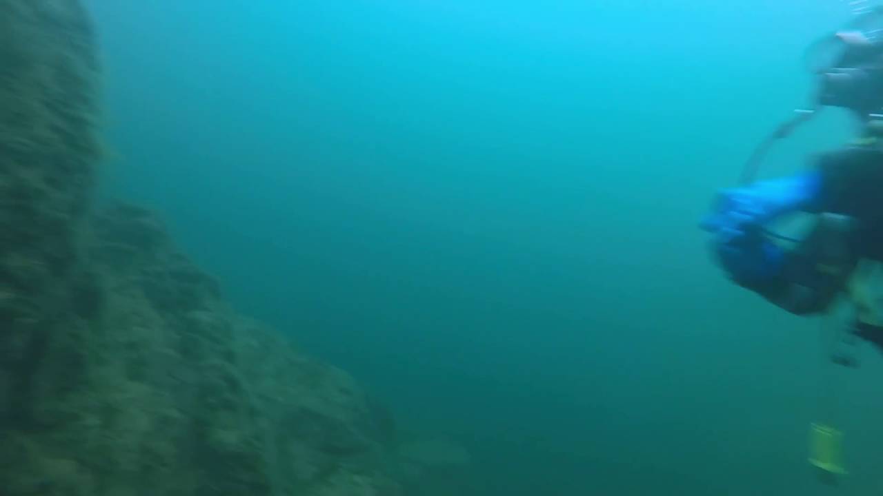 Plong&eacute;e  Lessines 2016