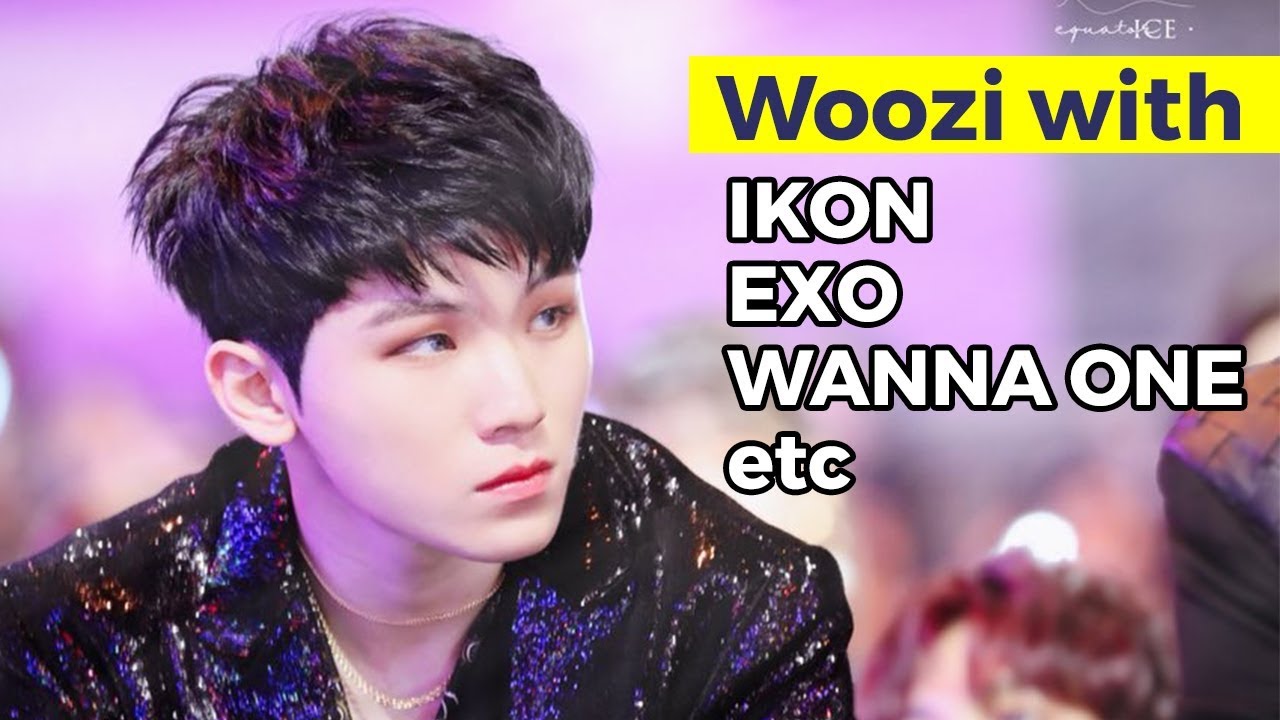 WOOZI AND HIS IDOL FRIENDS