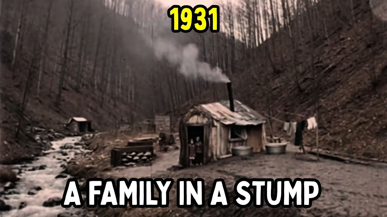 The Tragic Story of Appalachia's Stump Houses: The Hannon Family's Poorest Home