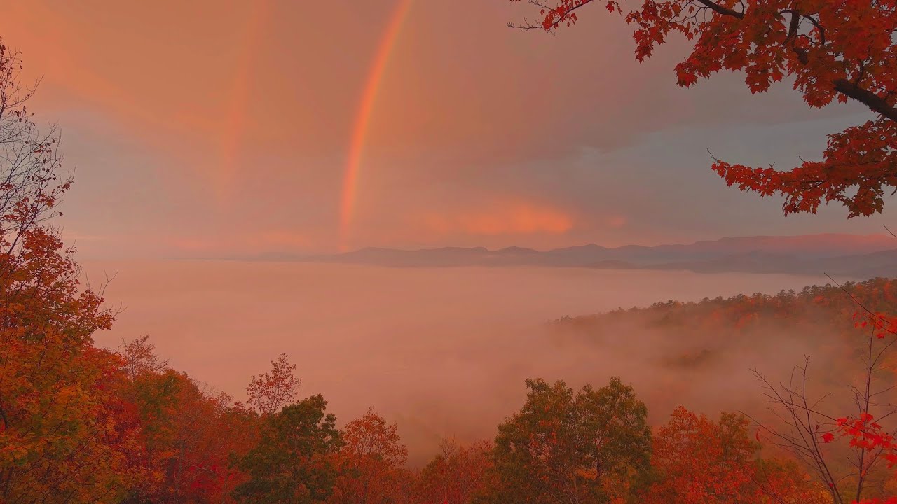 Fall Colors in the Clouds: Drone Cinematic Experience [4K]