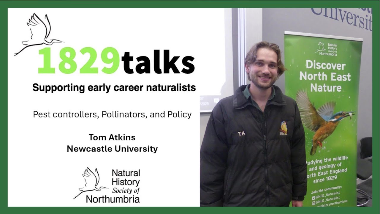 Pest Controllers, Pollinators and Policy
