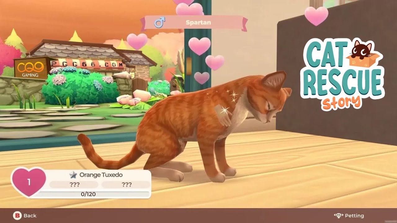 CQ9 Gaming 游戏推荐│体验全新猫咪模拟游戏《猫救援故事》9月登陆PC与主机平台