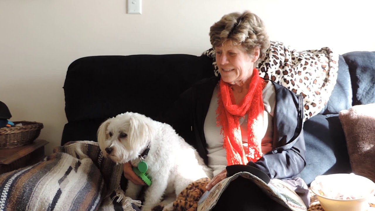 How My Dog Survived Cancer