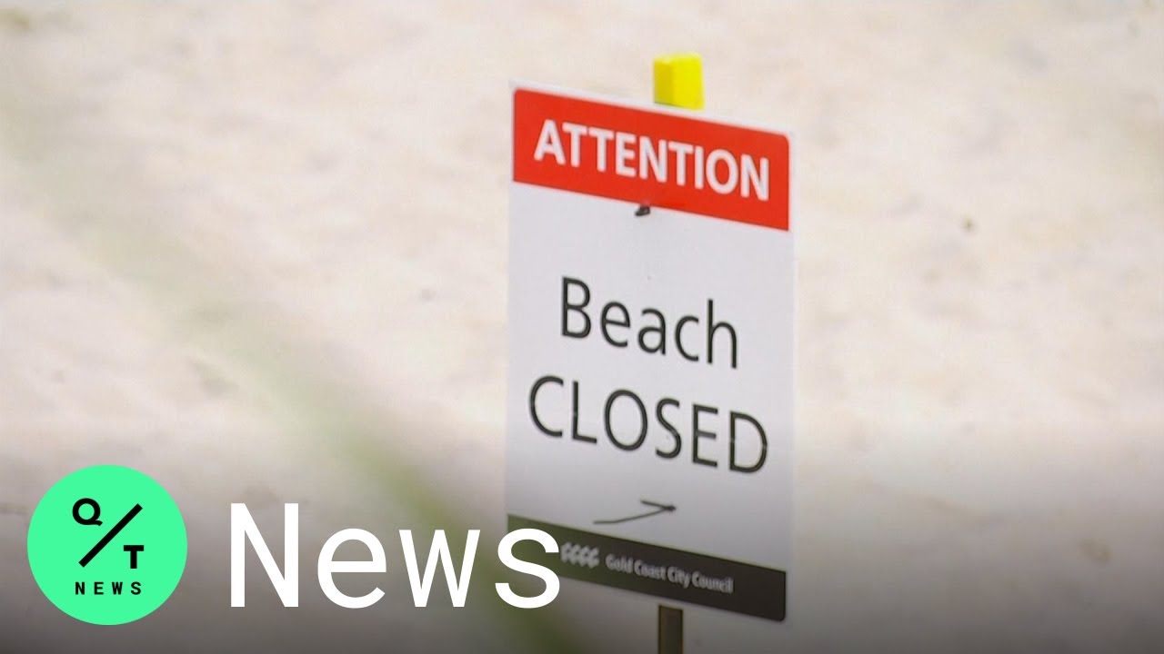 Shark Kills Surfer on Australia's Gold Coast Tourist Strip