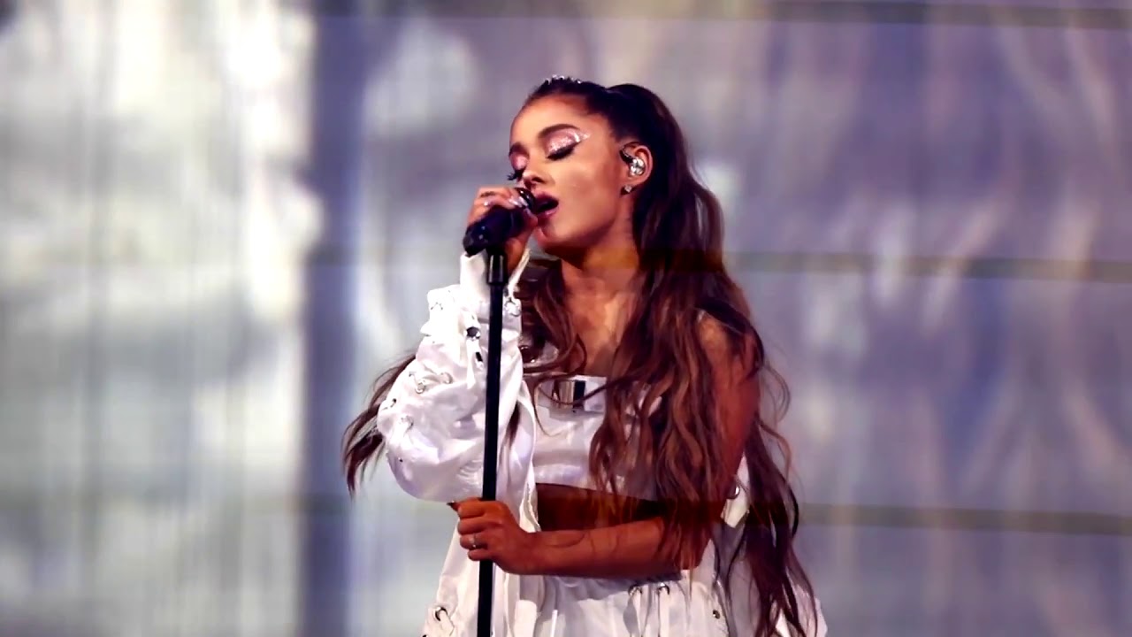 dwt diaries clips