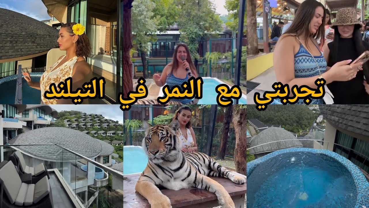 رجاء :اليوم الاول خلعني النمر حاضيا معاه 🐯بلاد الاحلام تجربة رائعة 🔥😍