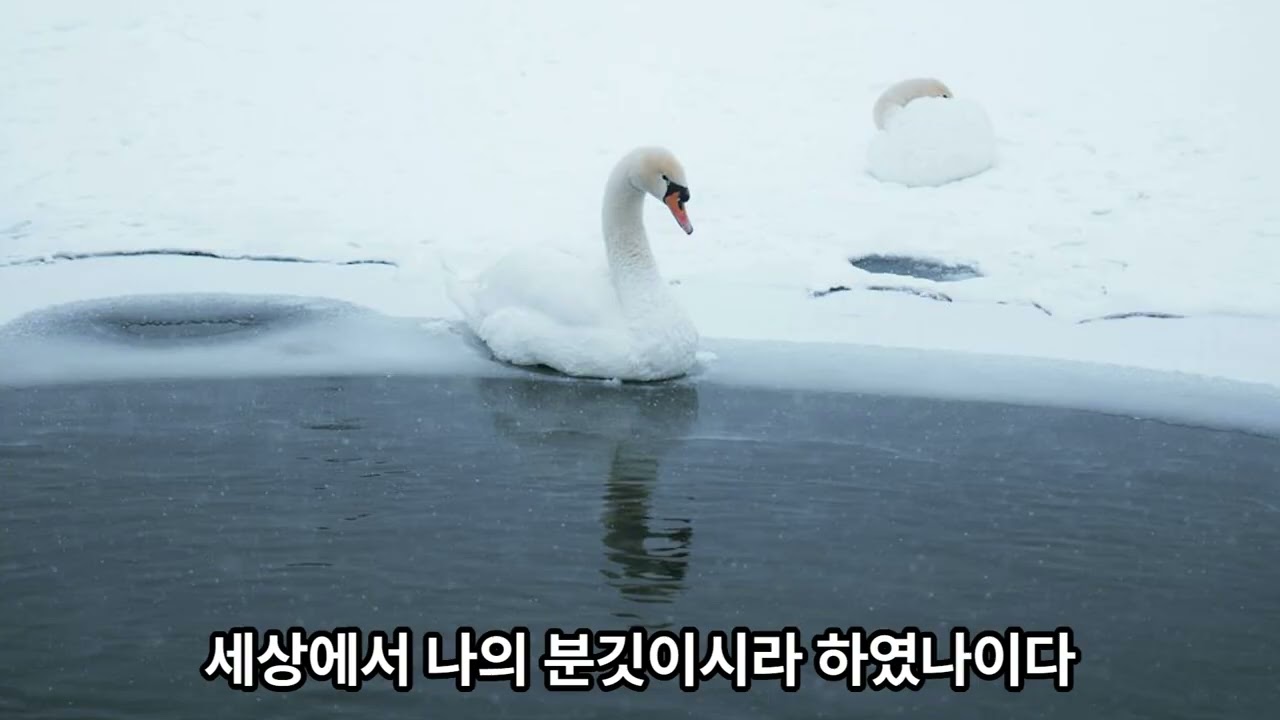 시편 말씀찬양 (131~150편)