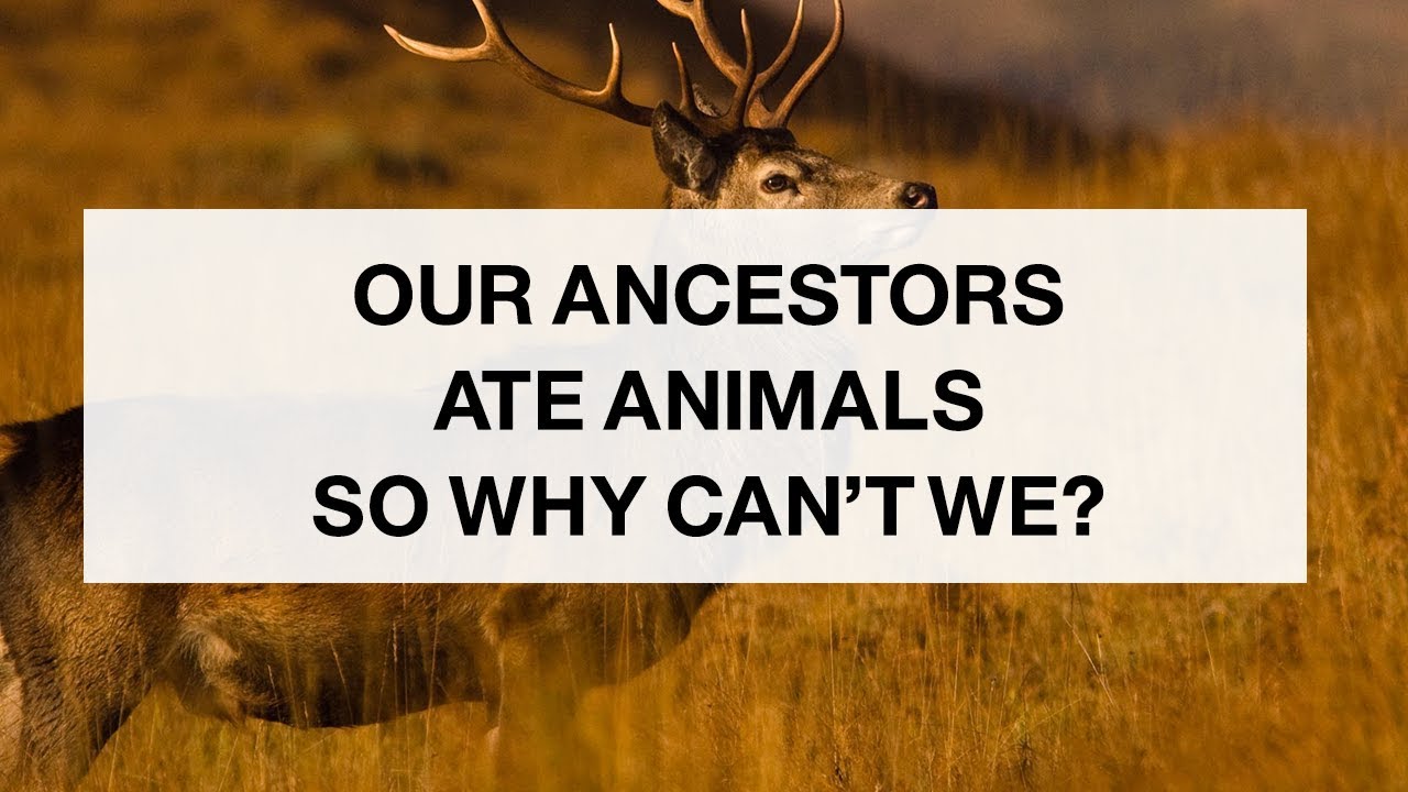 Our Ancestors Ate Animals
