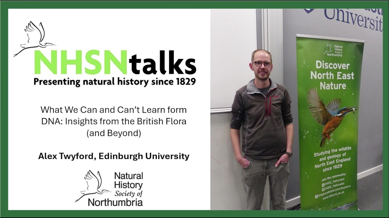 What we can and can't learn from DNA: insights from the British flora and beyond