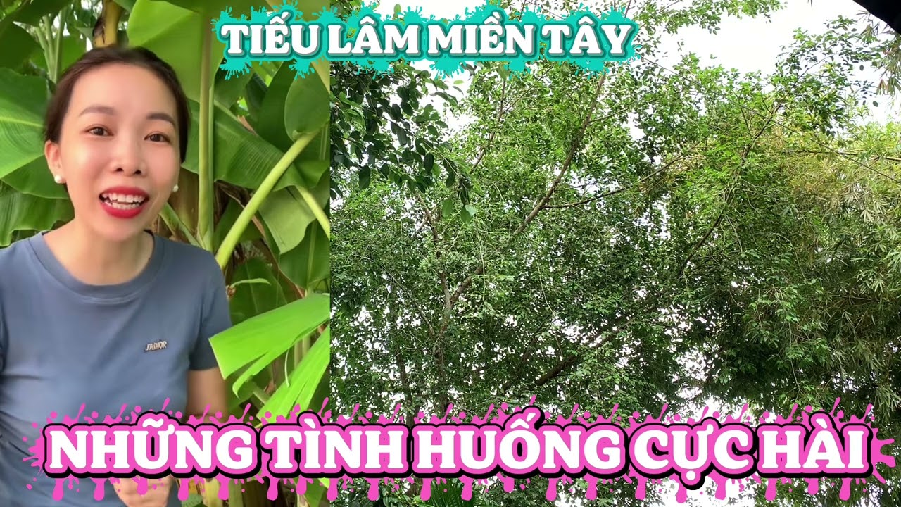 Chuyện cười tiếu lâm giọng kể miền Tây, những câu chuyện hay nhất