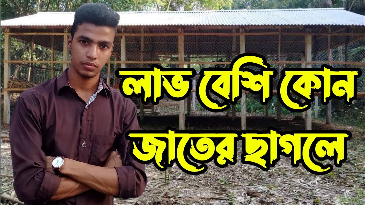 কোন জাতের ছাগল পালনে লাভ বেশি🐐🐐🐐