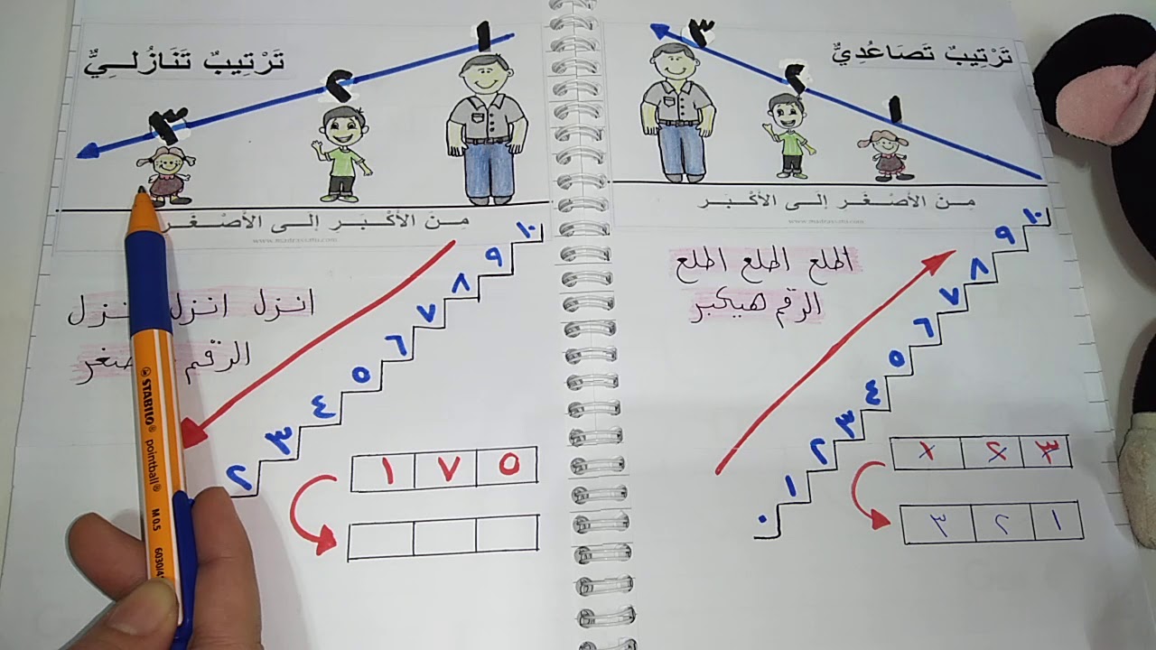 الترتيب التصاعدي والتنازلي