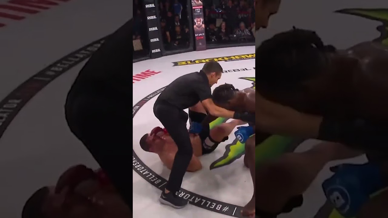 Daniel James powerful punches to TKO at Bellator 293 🥊 #shorts #bellator293