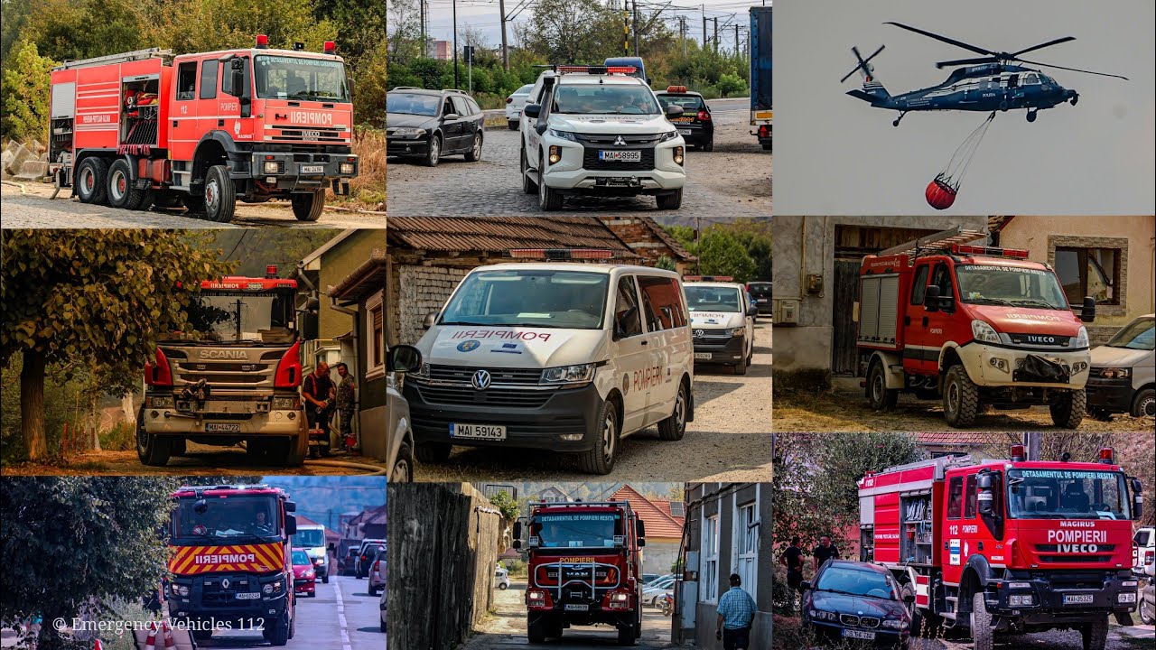Incendiu de vegetație / Vegetation Fire in / în Câlnic, România 2024