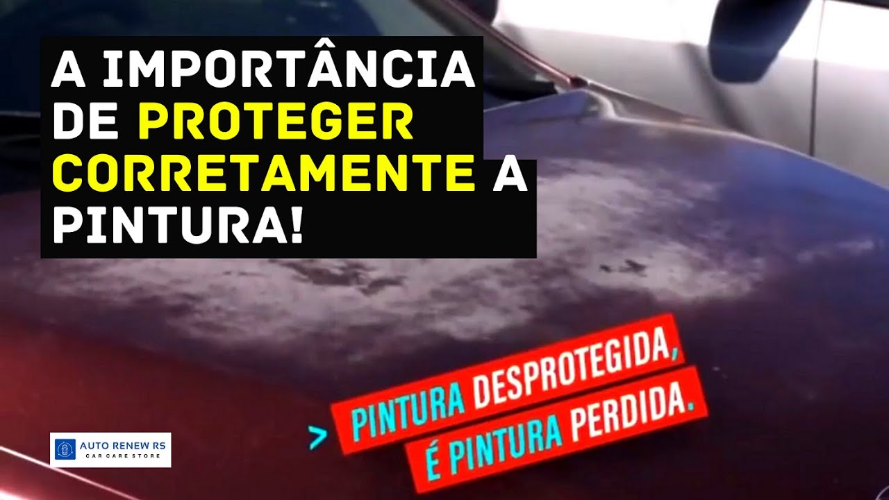 PROTEJA A PINTURA DO CARRO E VALORIZE O PATRIM&Ocirc;NIO!