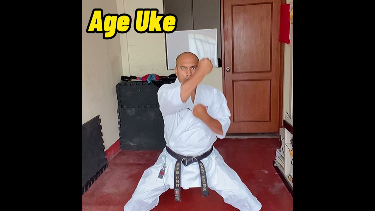4 bloqueos b&aacute;sicos karate shotokan