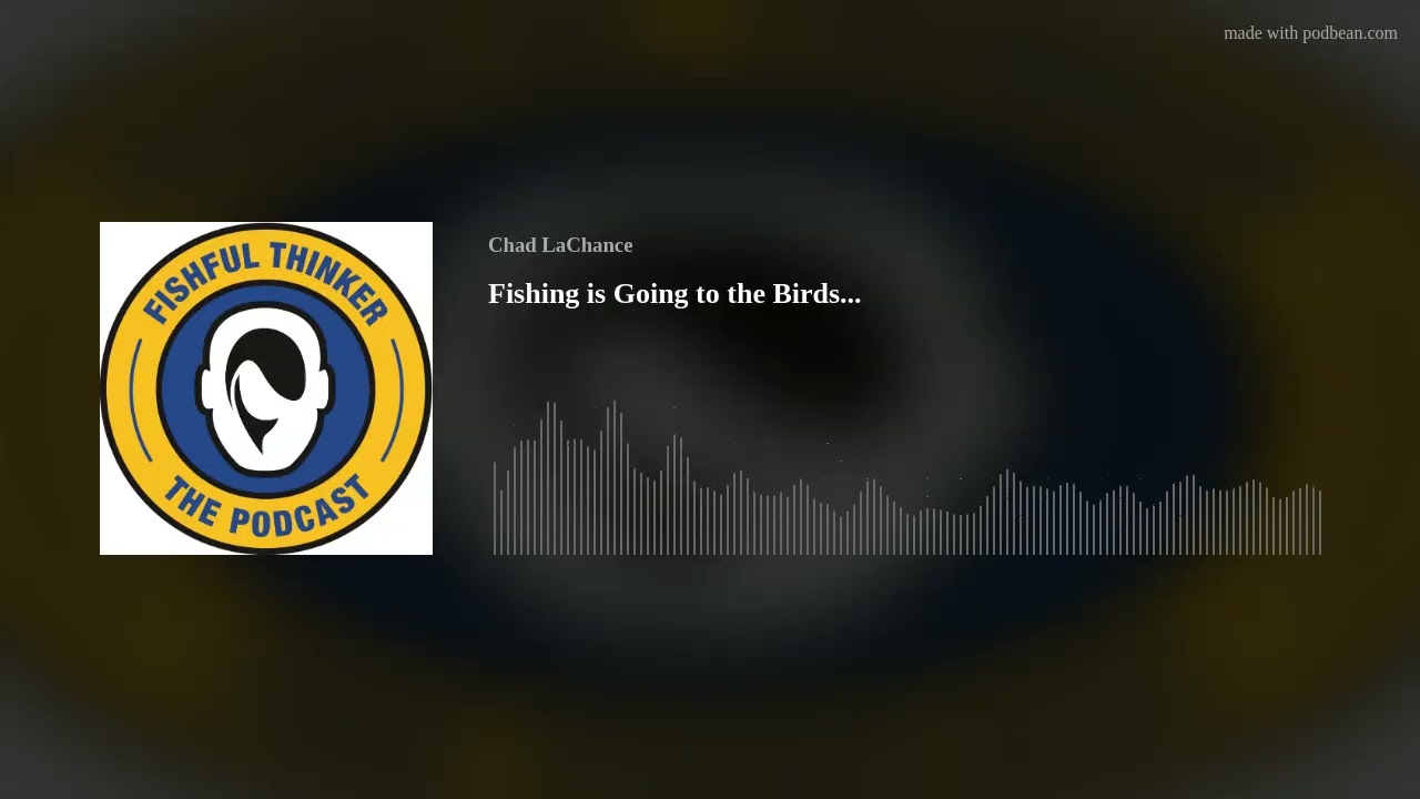 Fishing is going to the birds... #fishingpodcast