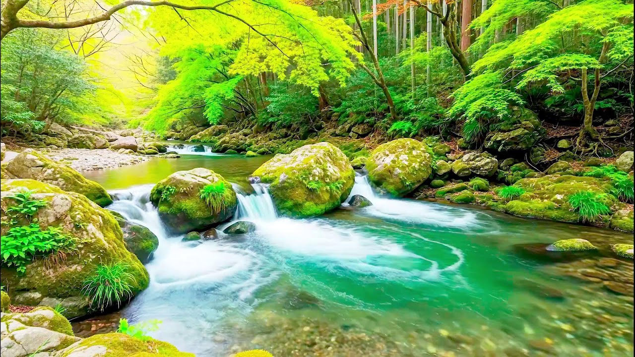 Calming River Sound for Deep Sleep | Natural Healing Ambience for Health and Peace
