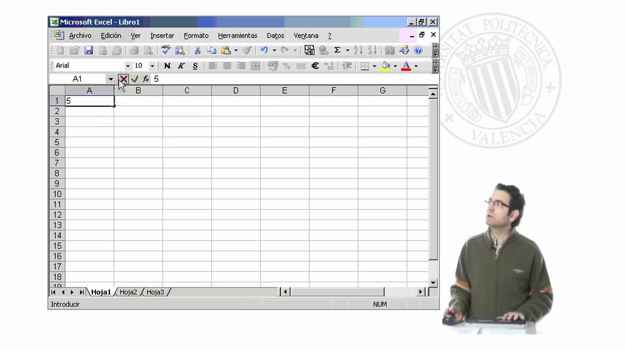 Introducción de Datos | 2/77 | UPV