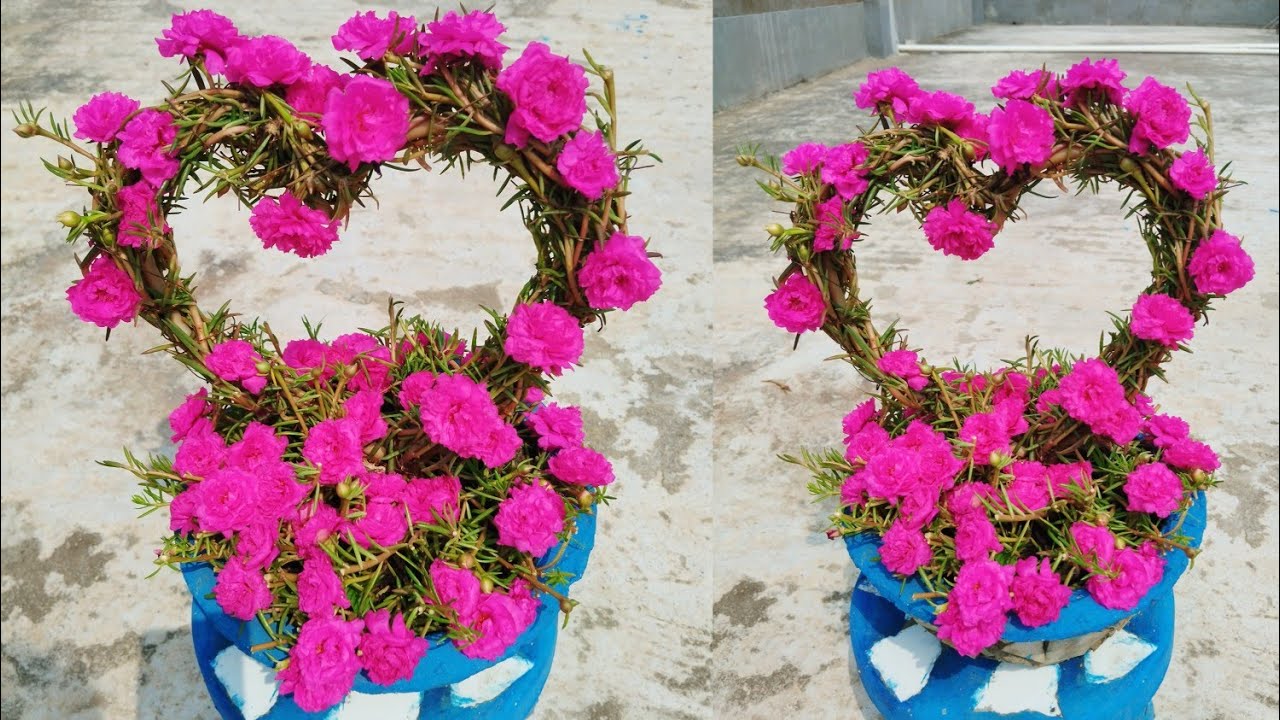 अच्छे विचार सजावट रोपण पोर्टुलाका (Moss Rose) 
