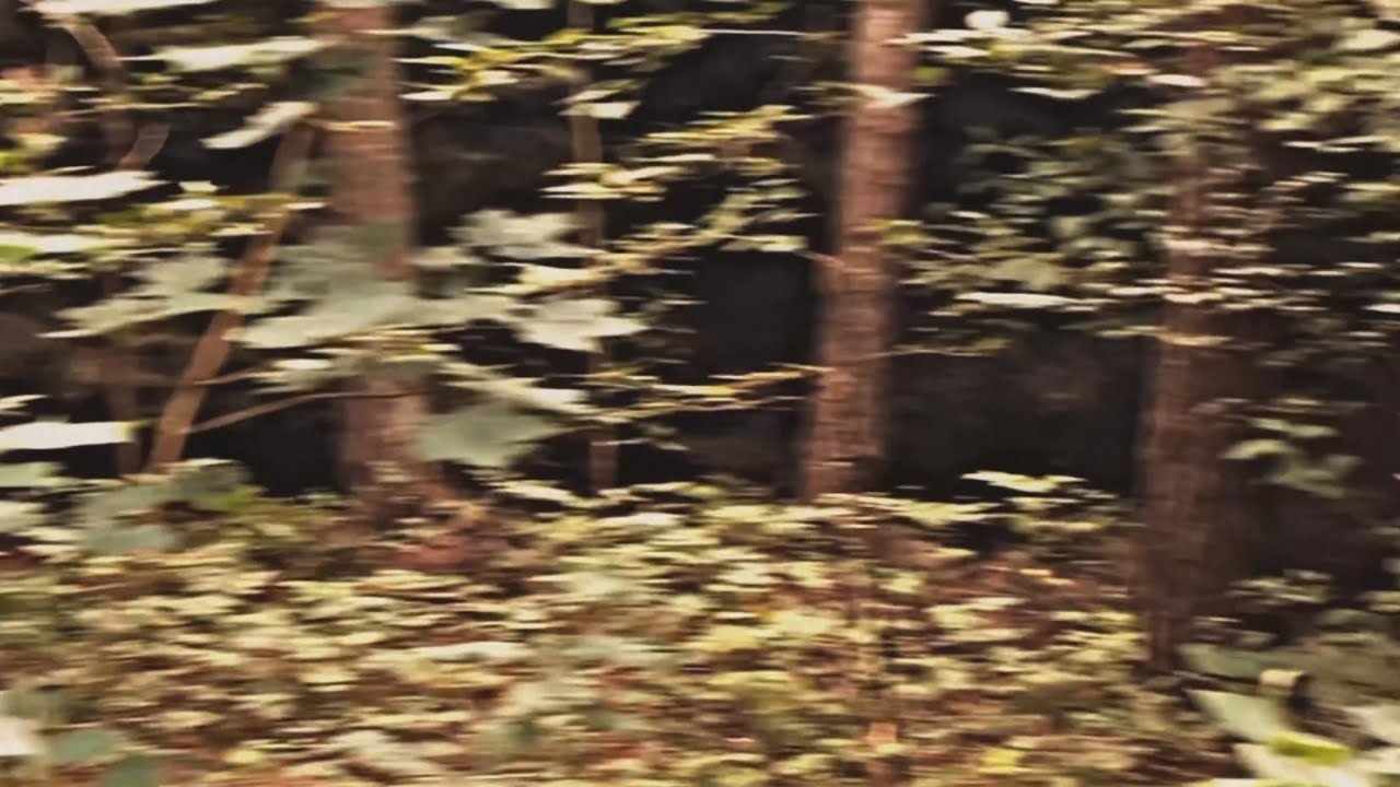 Formely Known As (official video)