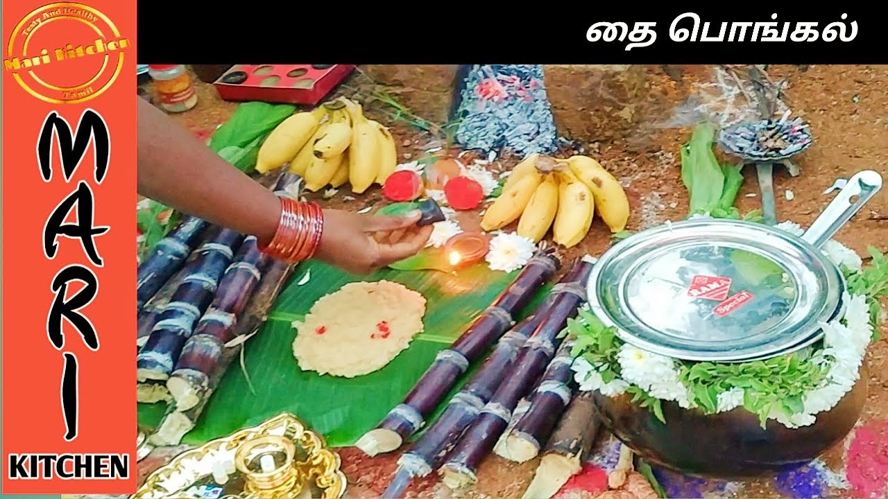 முதல் முறை பொங்கல் வைப்பவர்கள் கட்டாயம் பாருங்கள்/First time Pongal keepers must see/Pongal in tamil