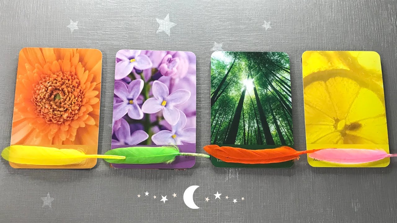 💌 Pick a Card | What Do You Need To Focus on?🧝🏼‍♀️ Timeless | Teacup Tarot 💫
