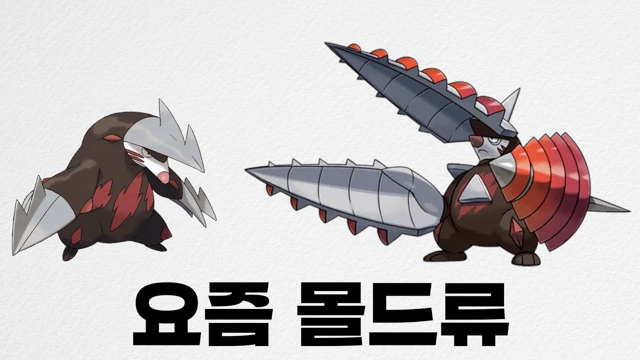 요즘 몰드류