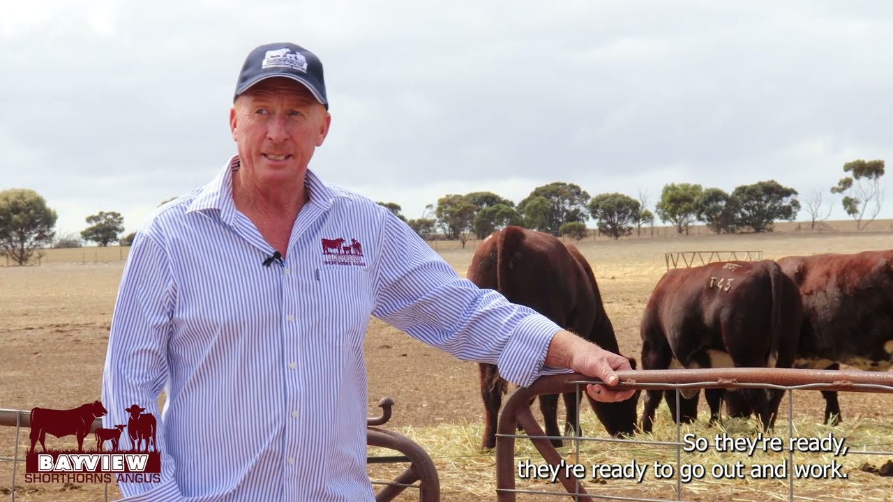 Bayview Studs Rocky Beef week promo video