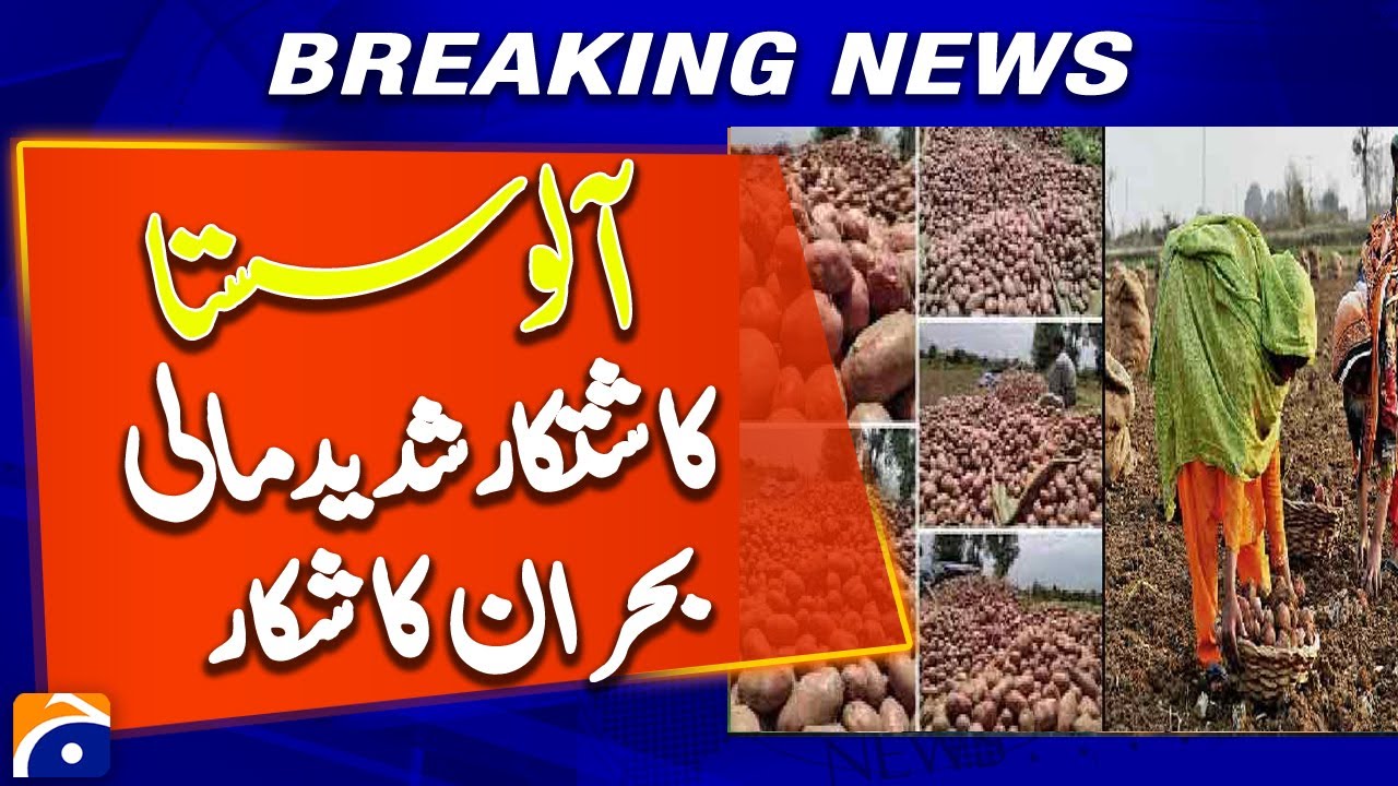 Potatoes Cheap, Farmers in Crisis &mdash; Agriculture & Market Reality in Pakistan