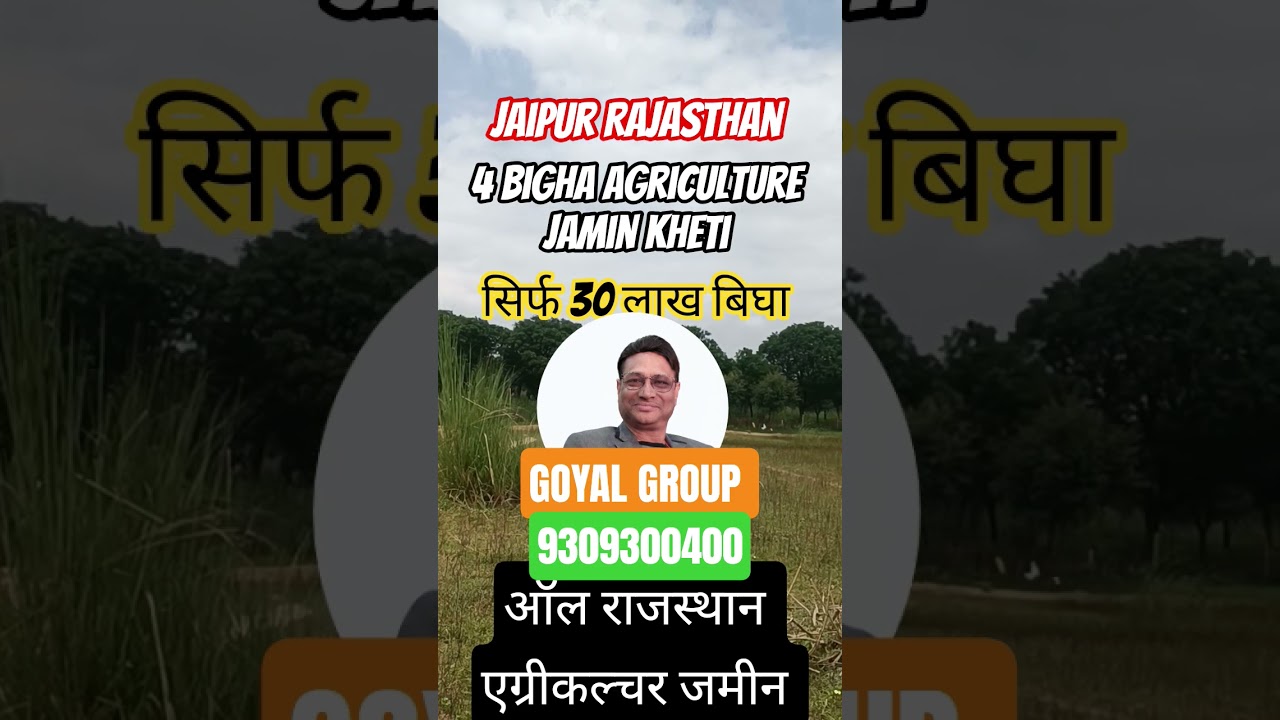 4 बीघा सिर्फ 30 लाख/बीघा एग्रीकल्चर 🌳🌾