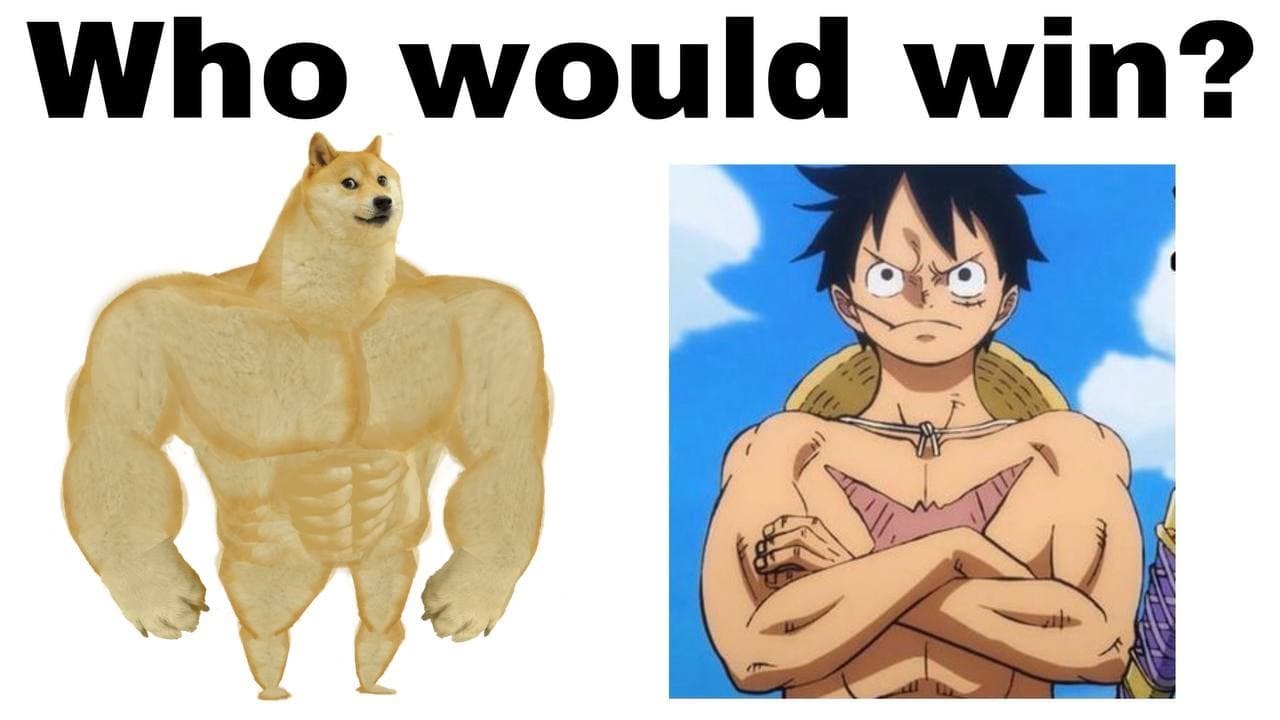 ONE PIECE MEMES 17