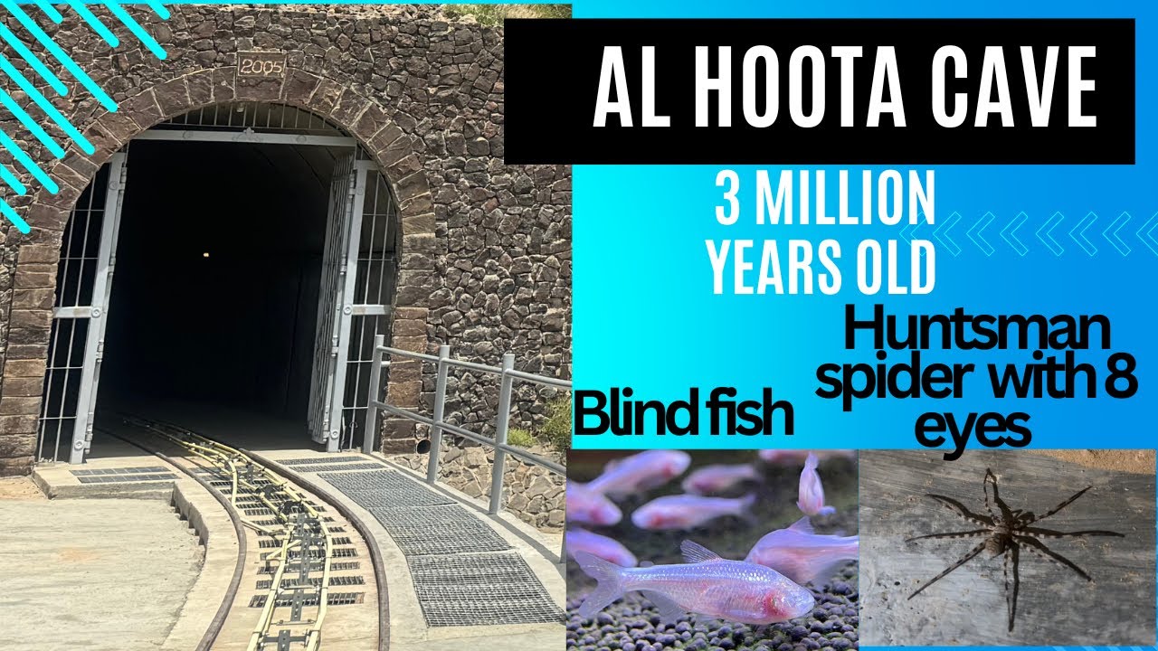 Al Hoota Cave Oman | വിസ്മയലോകം Explaining the Al Hoota Cave | A Must visit tourist place in Oman