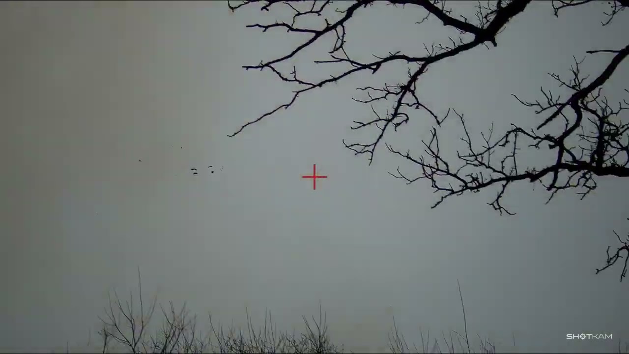 Shotkam clay pigeon shooting March 2026