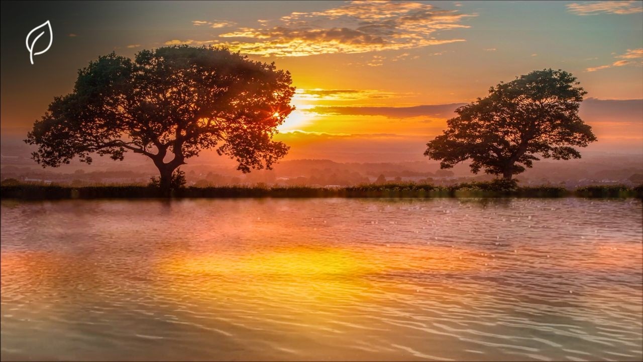 The Deepest Calm | 30 Minute Deep Meditation for Inner Peace