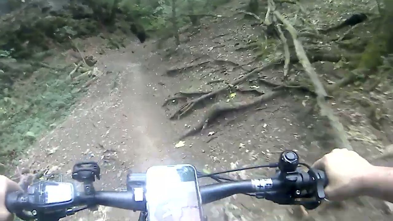 Leidingshofer Tal