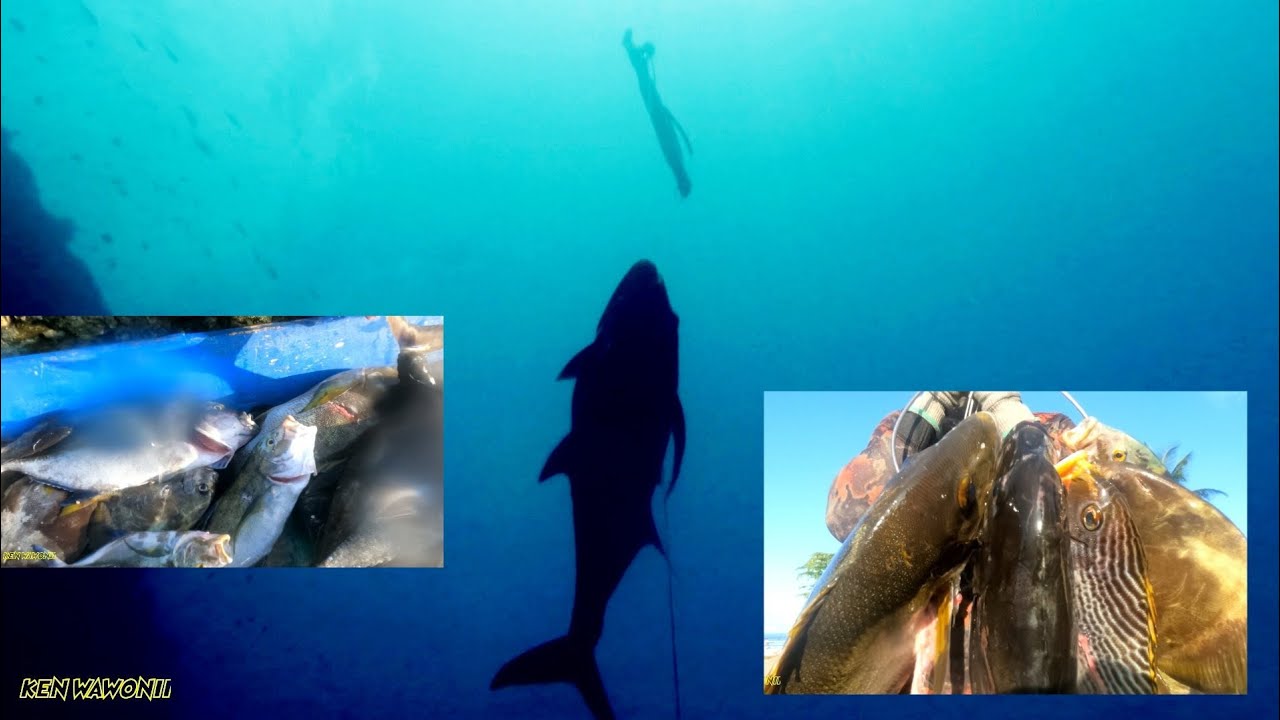 dalam juga tempat mu/monster GT lagi brow