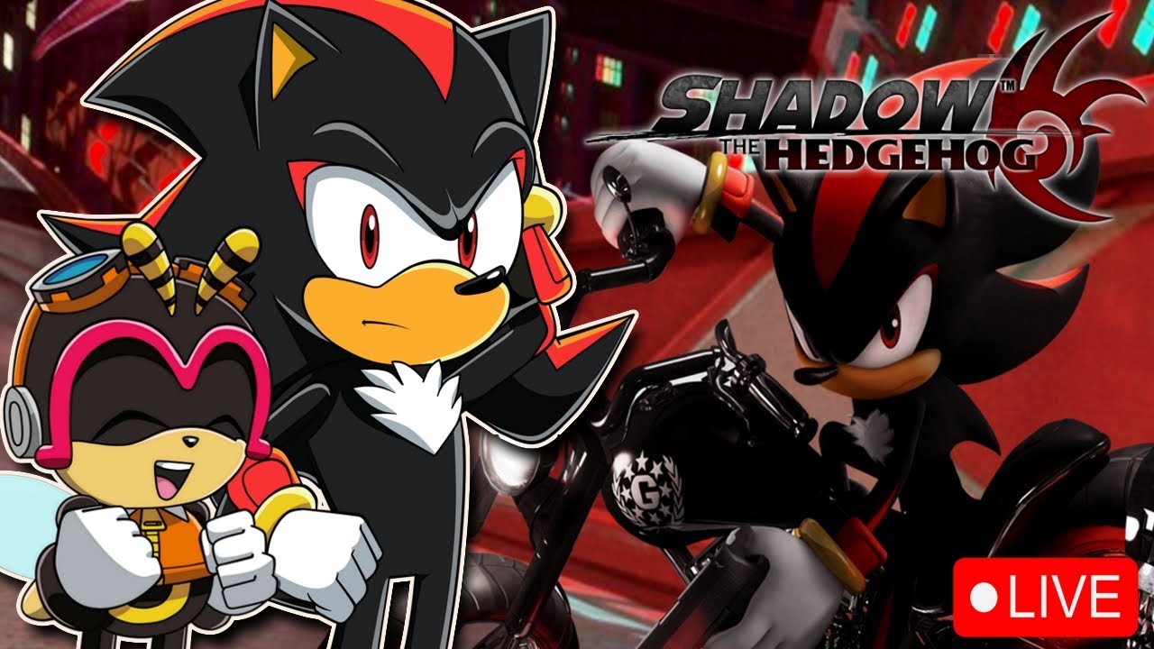 Charmy & Shadow Play Shadow The Hedgehog LIVE